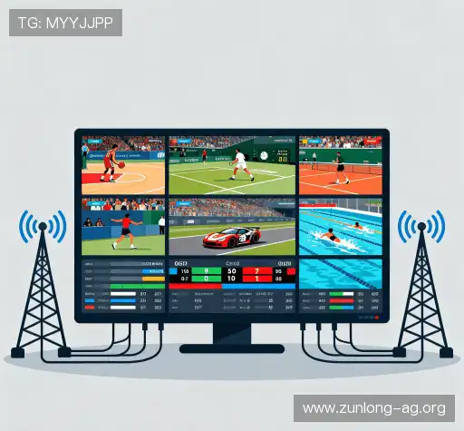 我们的核心竞争力